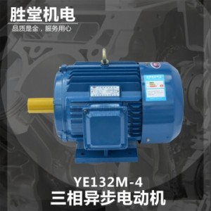 成都胜堂机电设备 三相异步电动机 YE2-132M-4 7.5W